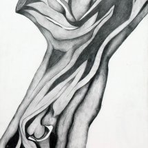 41