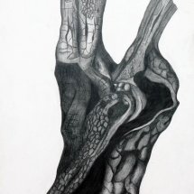 43