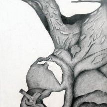 44