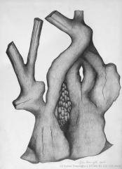 102